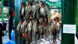 Game birds at a market. Photo courtesy of Wikimedia Commons