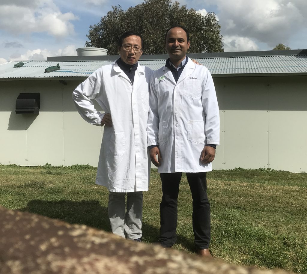 Dr Shubiao Wu and Dr Nishchal Sharma